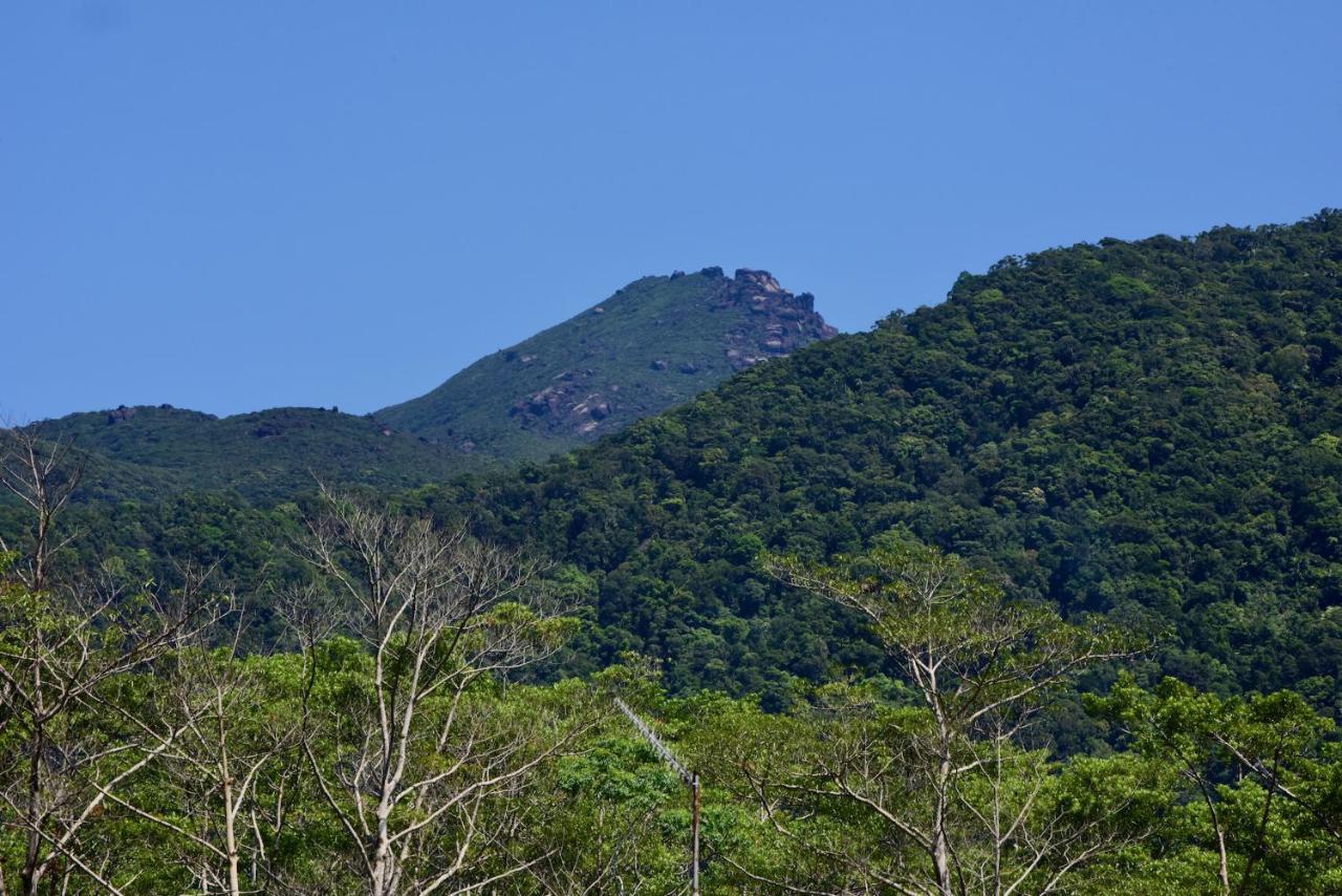 Daintree Peaks Eco Stays Bagian luar foto