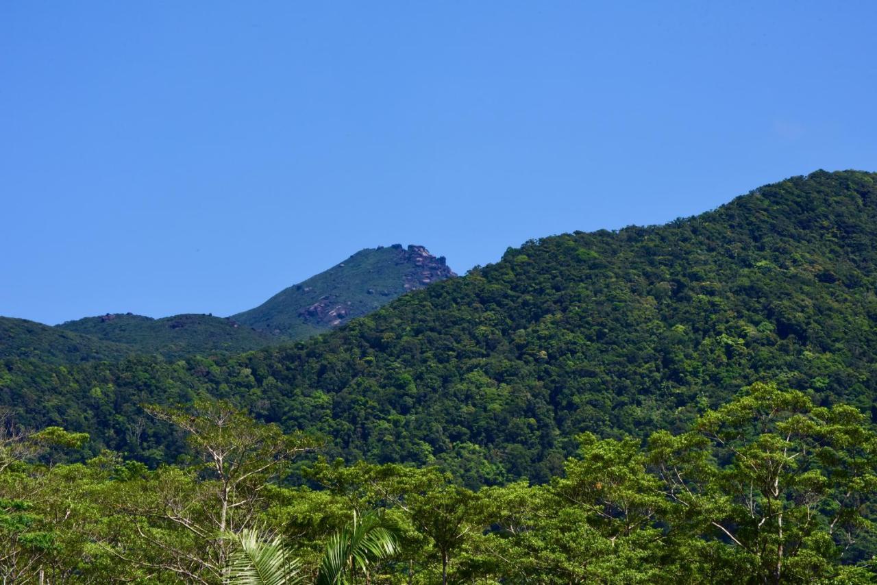 Daintree Peaks Eco Stays Bagian luar foto