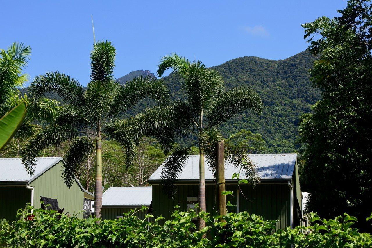 Daintree Peaks Eco Stays Bagian luar foto