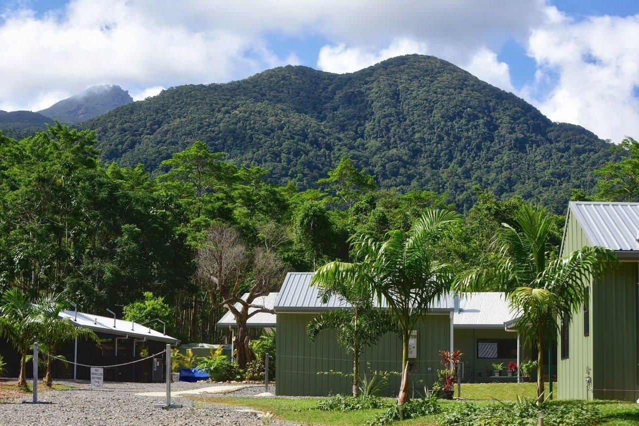 Daintree Peaks Eco Stays Bagian luar foto