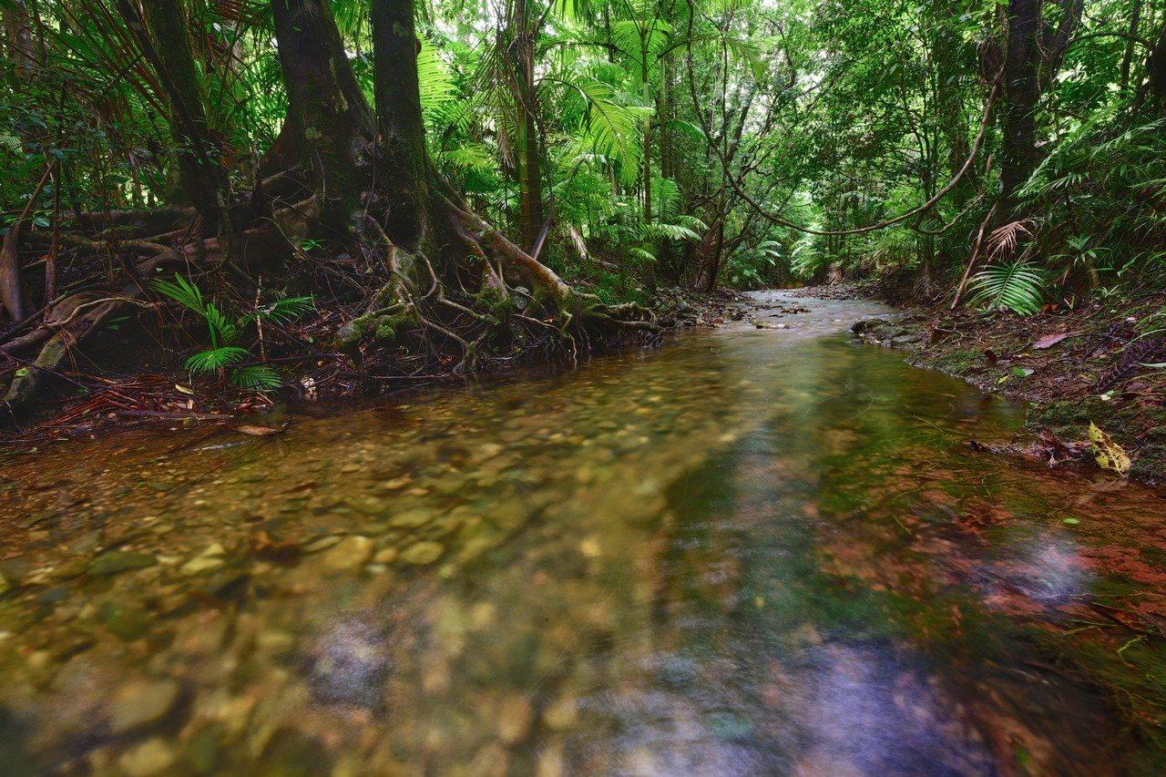 Daintree Peaks Eco Stays Bagian luar foto