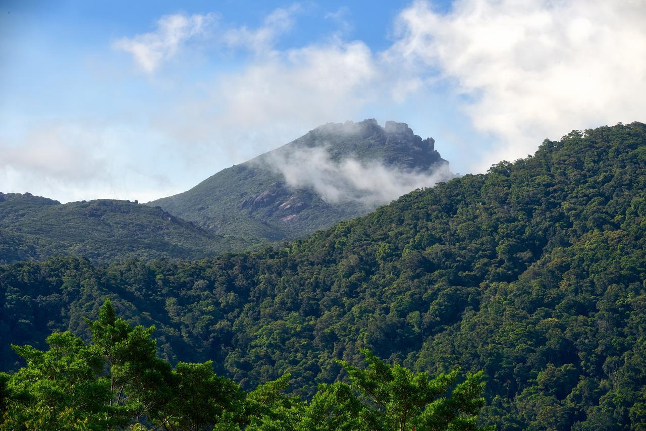 Daintree Peaks Eco Stays Bagian luar foto