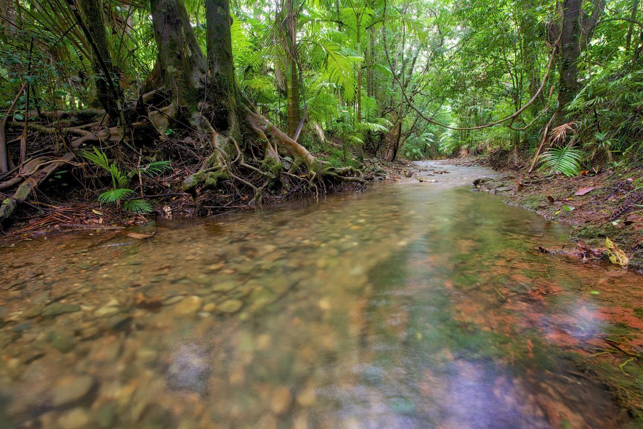 Daintree Peaks Eco Stays Bagian luar foto